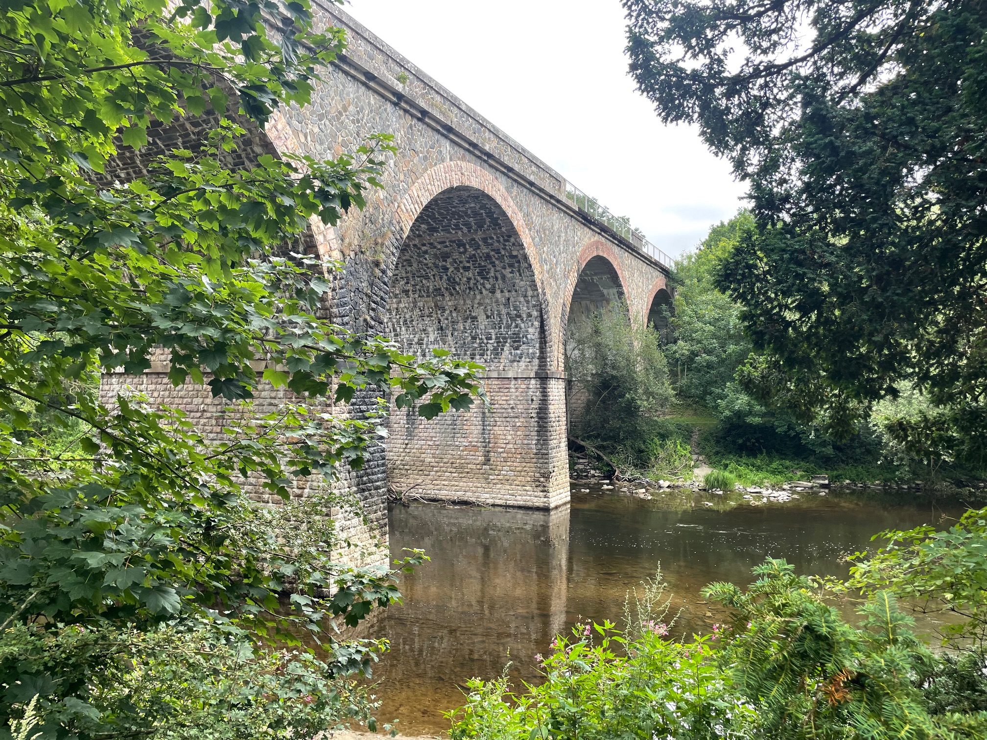 Découvrez la forêt de Grimbosq en trottinette électrique